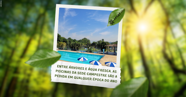 CAPA - MATERIA APCEF.png